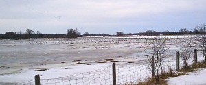 Flooding of the Carp River at the entrance to the village of Carp, spring 2013