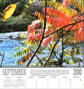Friends of the Carp River 25th anniversary. Millennium Calendar - Norma Dickson's winning photo for September 2000.
