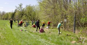 Volunteers plant a buffer strip of native trees and shrubs along the Carp River at the Carp Riverwalk.